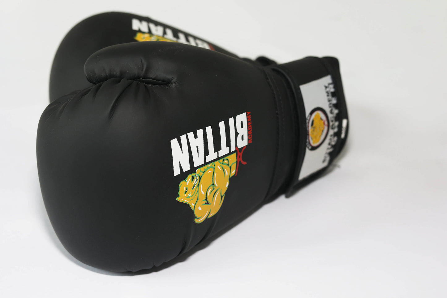 Bittan Academy Boxing Gloves