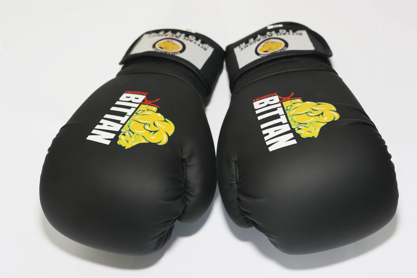 Bittan Academy Boxing Gloves